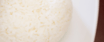 Steamed Jasmine Rice
